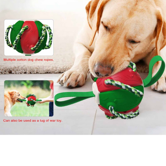 PELOTA FRESBEE PARA PERROS